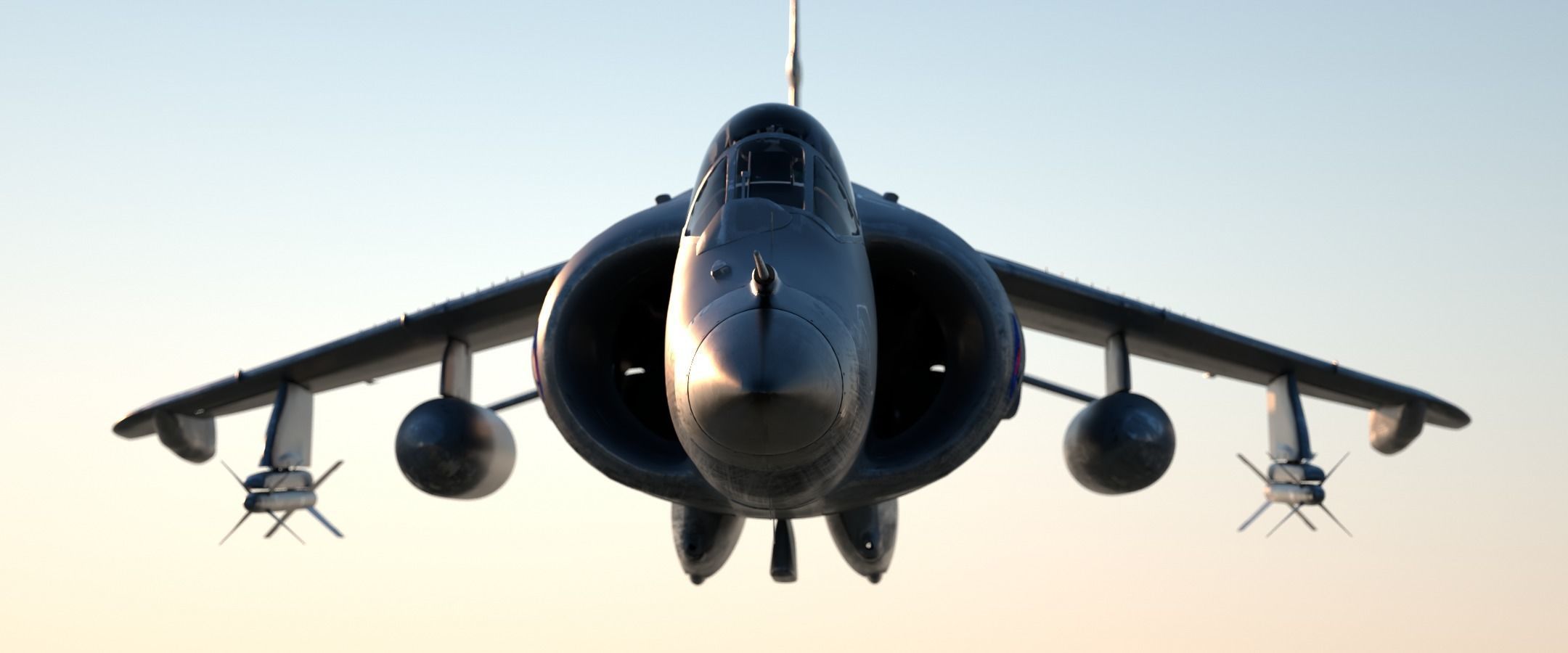 Sea Harrier FRS1 3D model_13