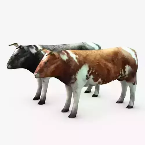 Cow three cows 3D model