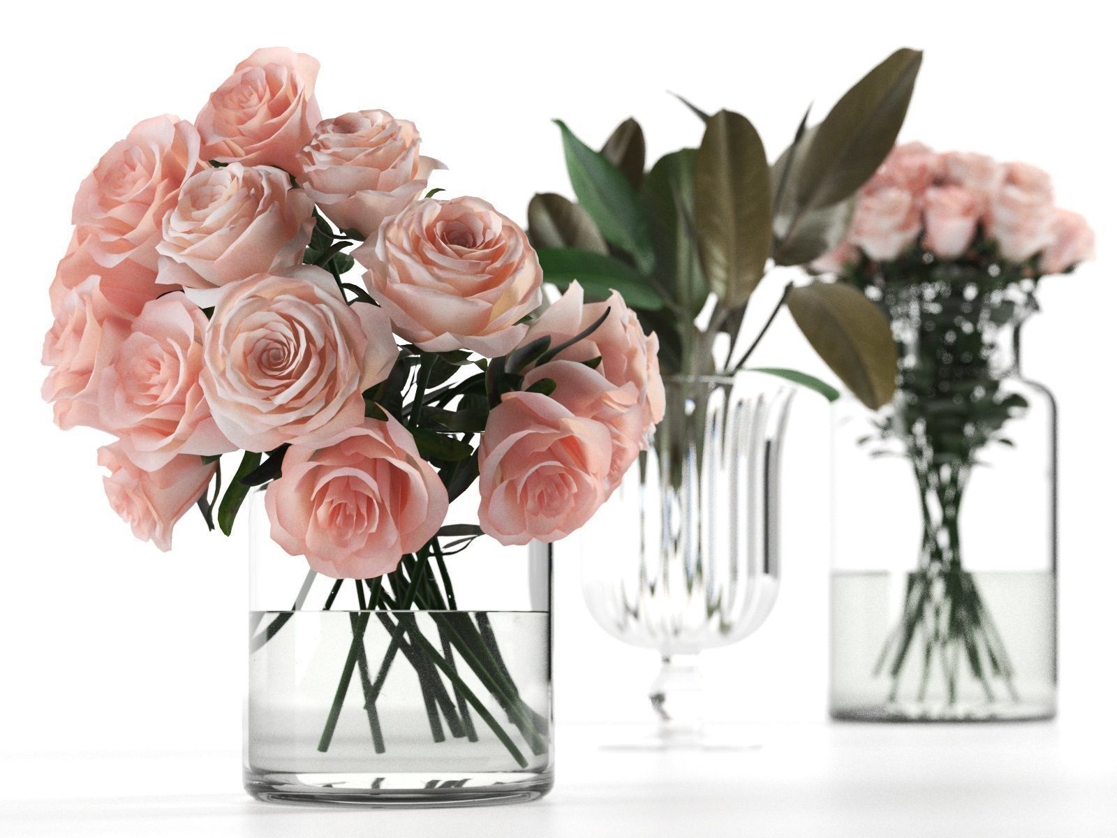 Glass Vases with Roses and Ficus Leaves 3D model_1