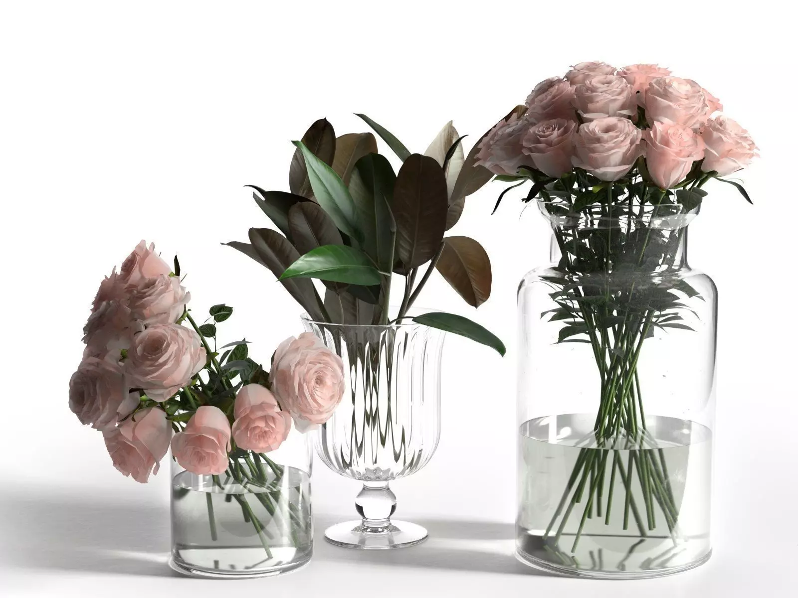 Glass Vases with Roses and Ficus Leaves 3D model_0