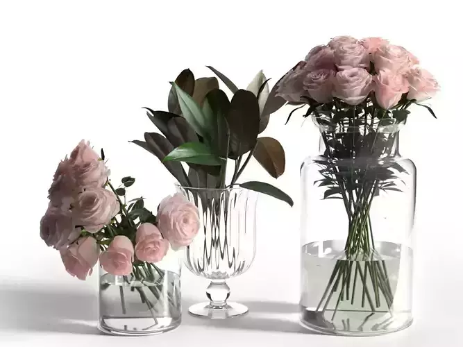 Glass Vases with Roses and Ficus Leaves