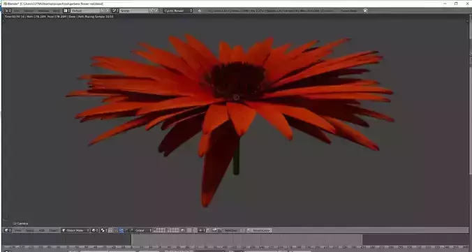 GERBERA FLOWER FOR ENVIORMENT
