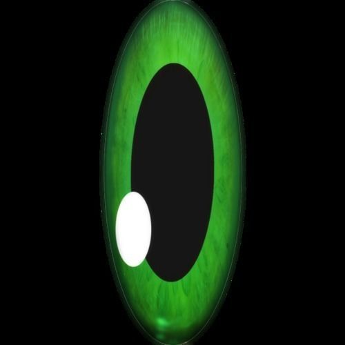 Sonic the Hedgehog Low-poly 3D model_2