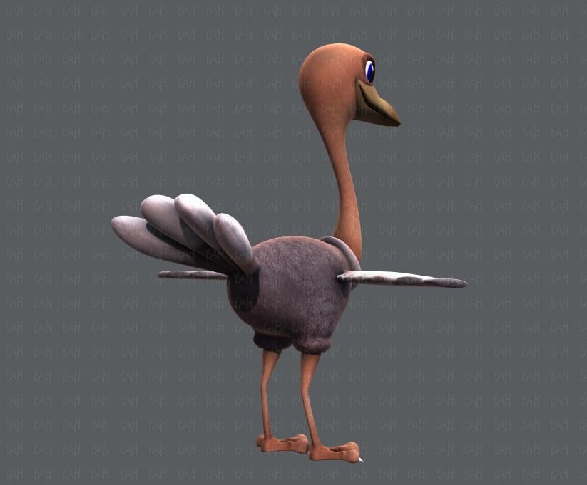 Ostrich V01 Low-poly 3D model_4
