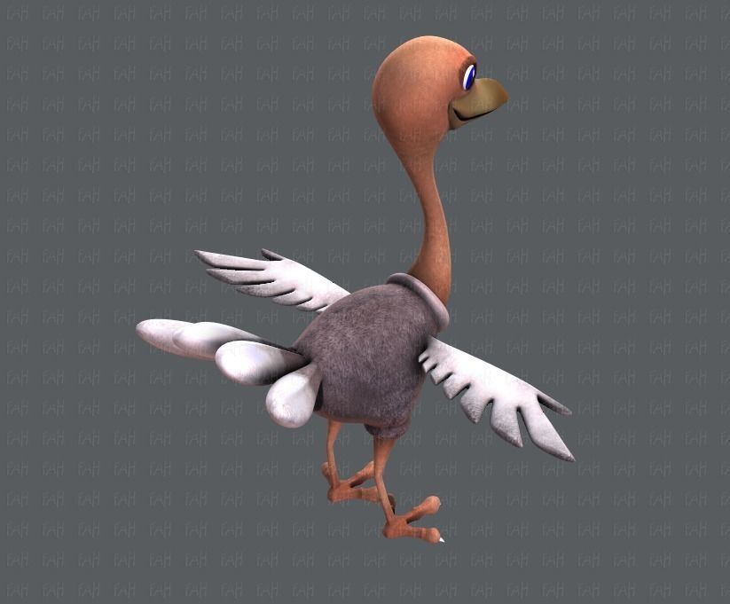 Ostrich V01 Low-poly 3D model_20