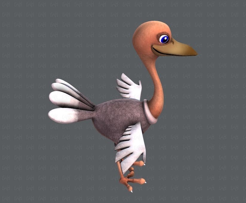 Ostrich V01 Low-poly 3D model_19