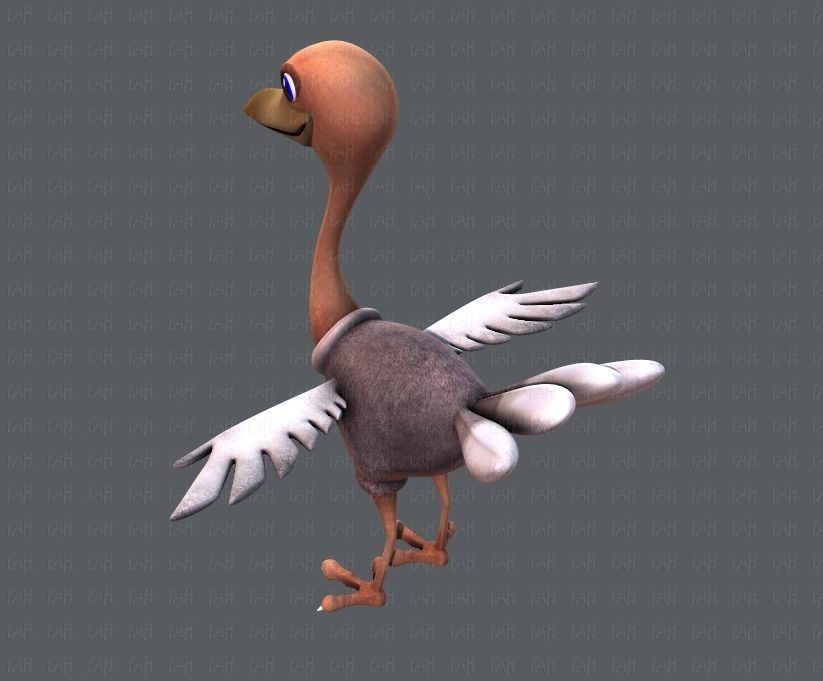 Ostrich V01 Low-poly 3D model_22
