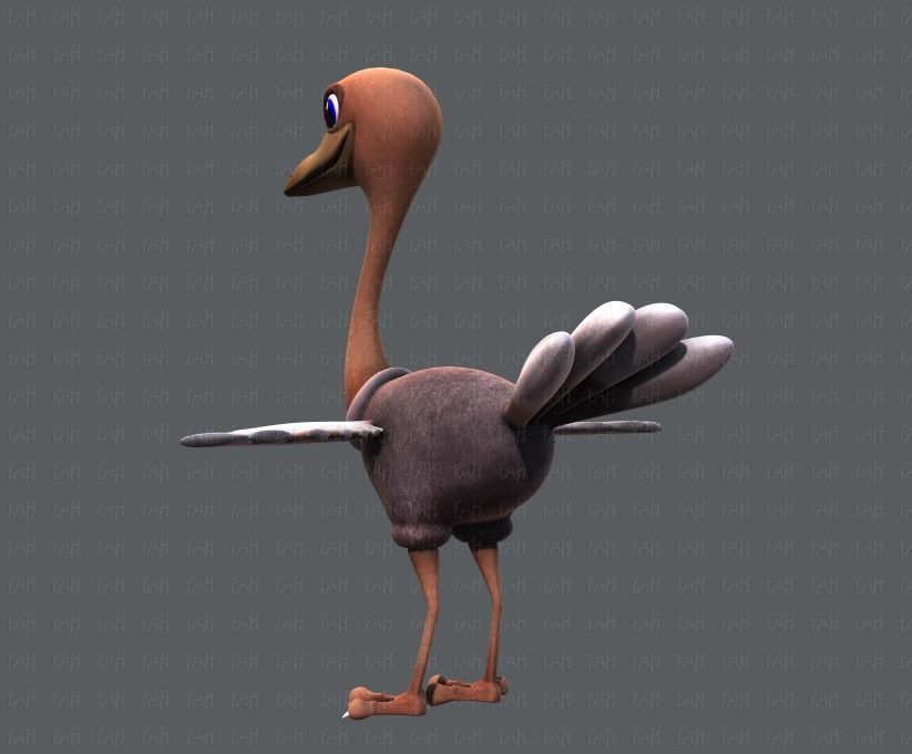 Ostrich V01 Low-poly 3D model_6