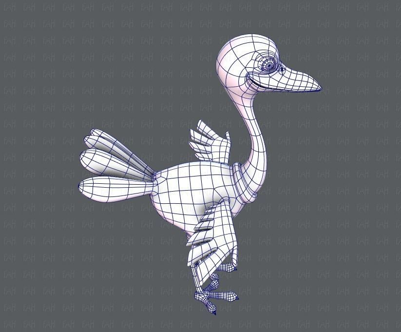Ostrich V01 Low-poly 3D model_27