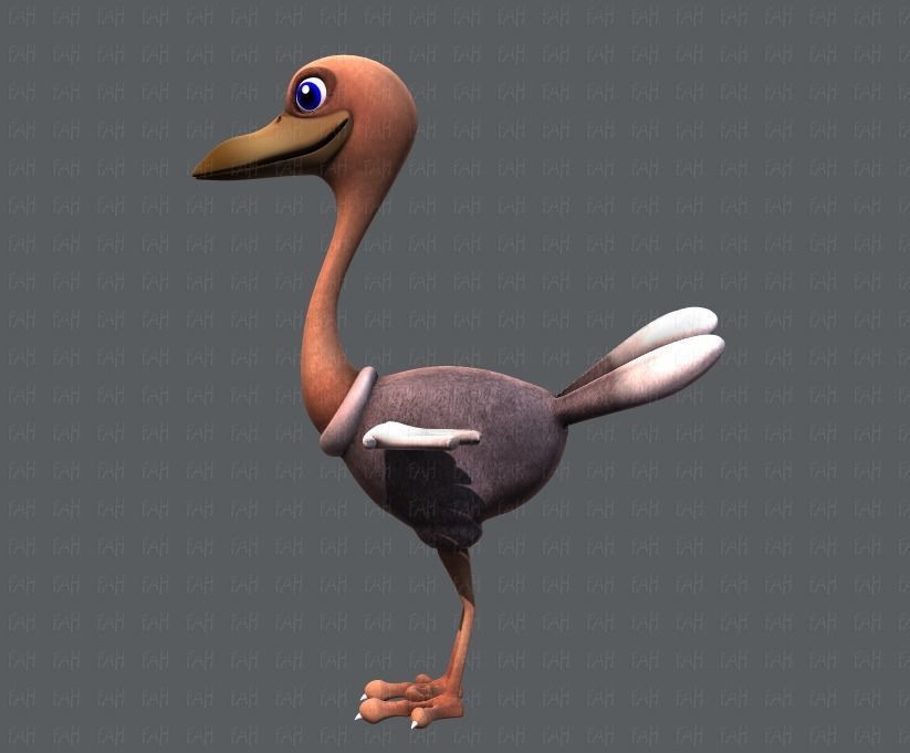 Ostrich V01 Low-poly 3D model_7