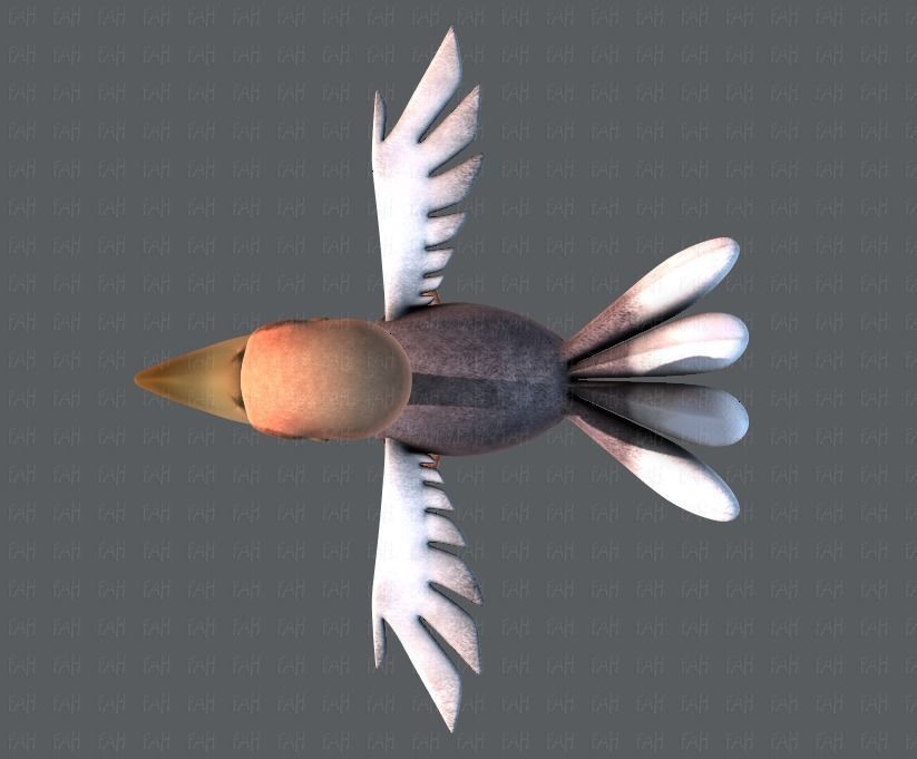 Ostrich V01 Low-poly 3D model_37