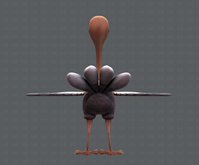 Ostrich V01 Low-poly 3D model_5