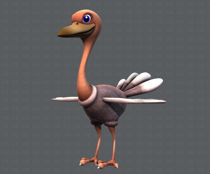 Ostrich V01 Low-poly 3D model_8