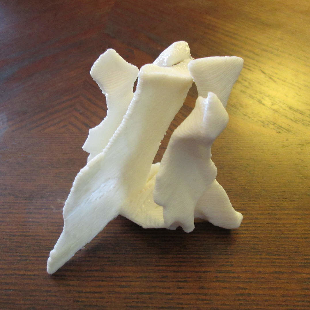 Palantines and Vomer Bone Ornament 3D print model_1