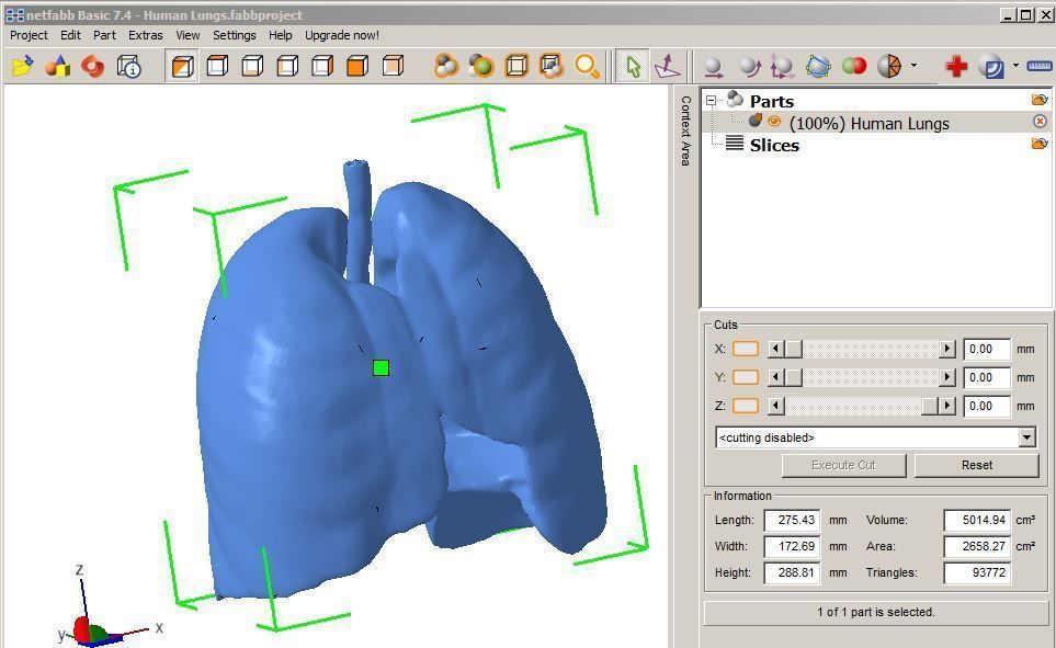 Human Lungs 3D print model_6