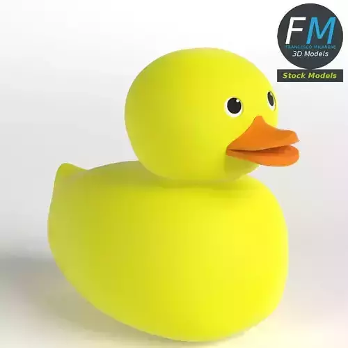 Rubber duck