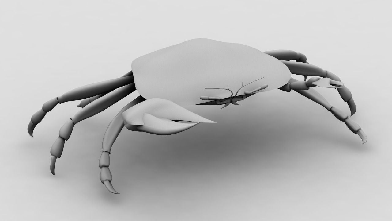 Crab - 3D model_0