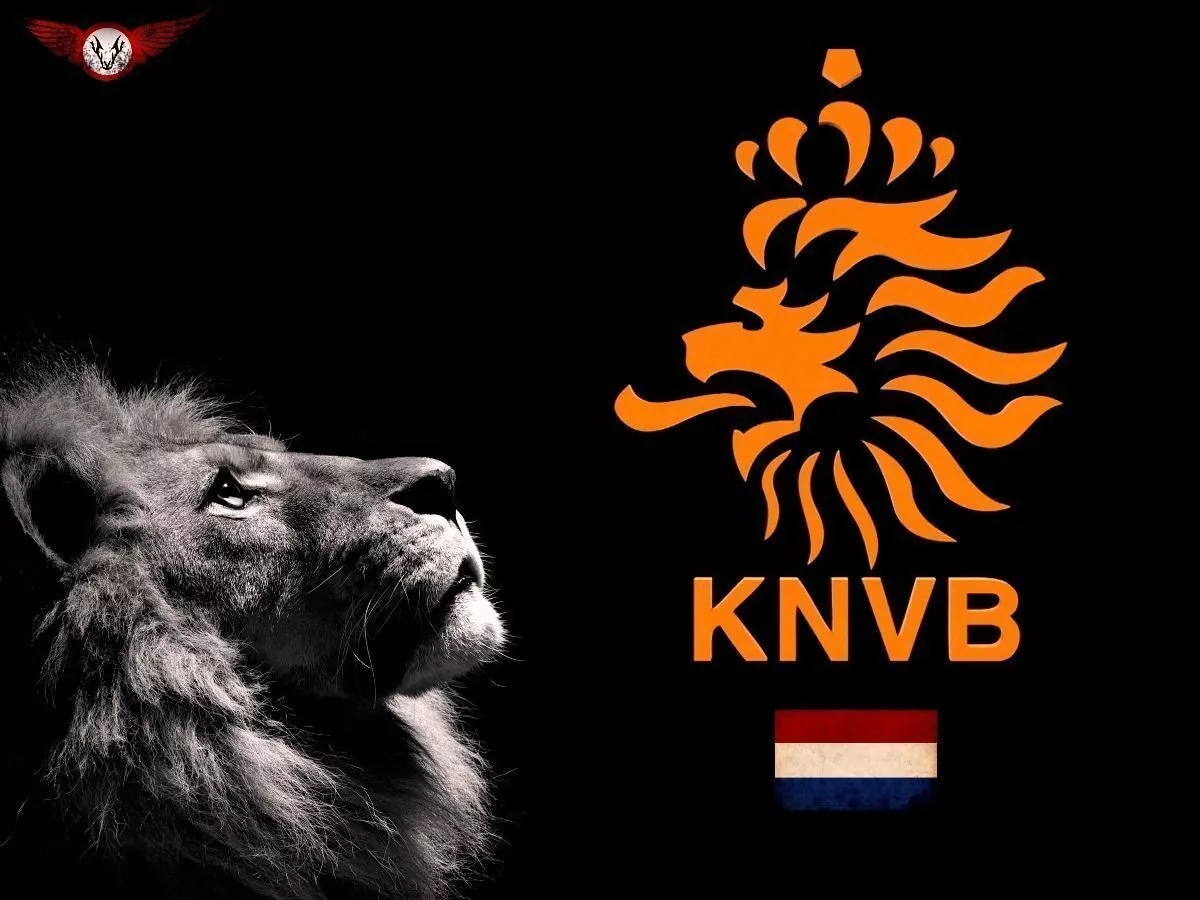 Dutch Football team Free 3D model