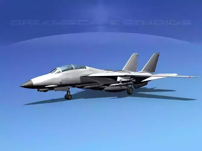 Grumman F-14D Tomcat Bare Metal  3D model