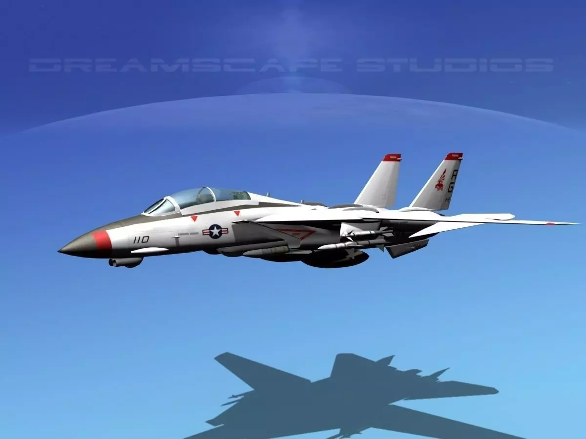 Grumman F-14D Tomcat T02a VF143 3D model_0