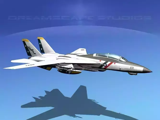 Grumman F-14D Tomcat T04a VF2