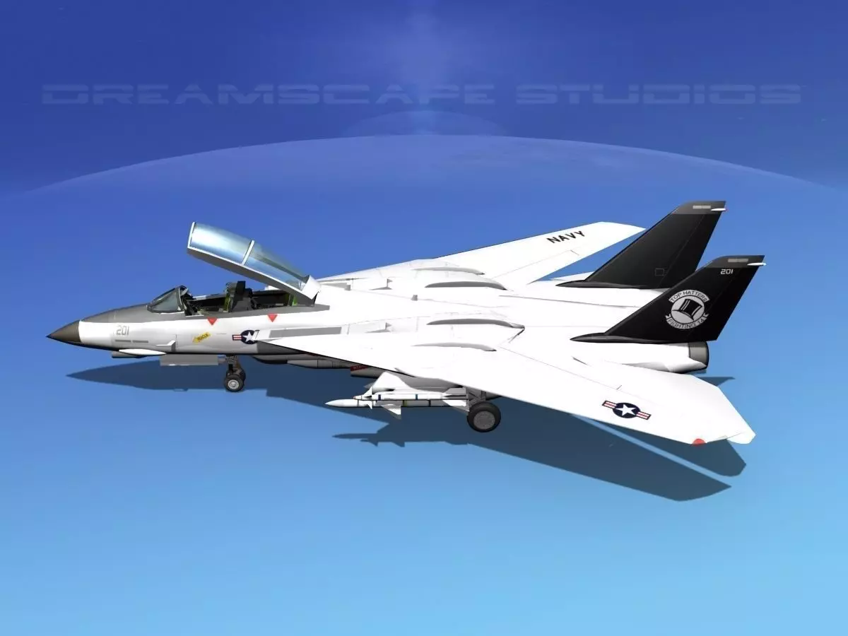 Grumman F-14D Tomcat T14a VF14 3D model_0