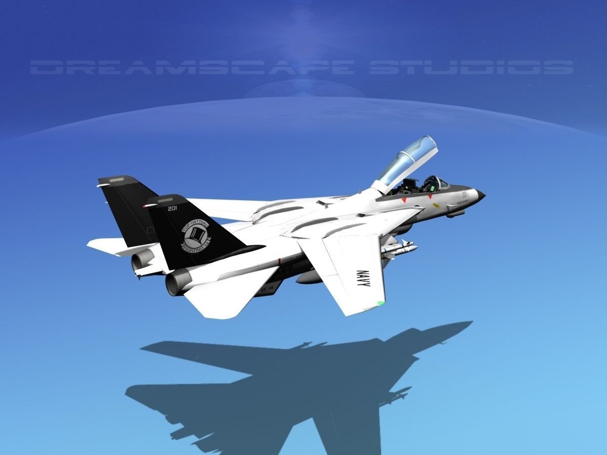 Grumman F-14D Tomcat T14a VF14 3D model_20