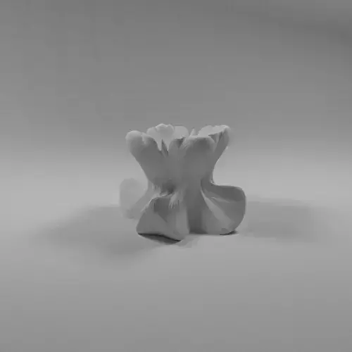 Shapy Vase 3D print model