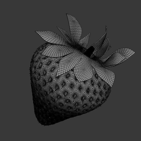 Strawberry 3D model_3