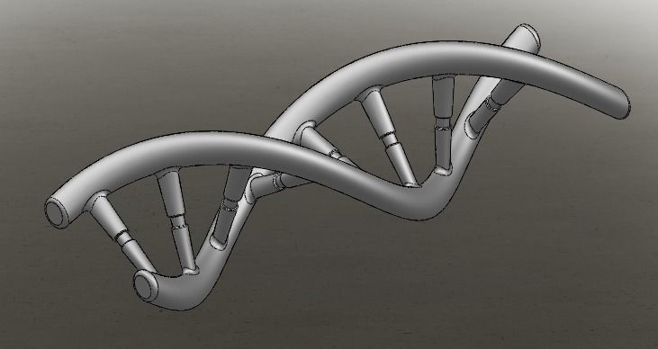 DNA Strand Free 3D model_2