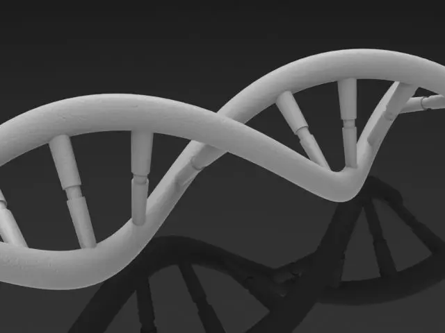 DNA Strand Free 3D model_0