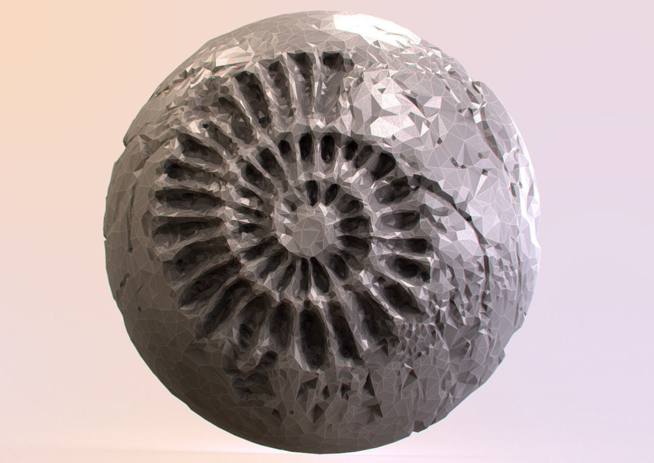 Fossil Series - Spiral 3D print model_1