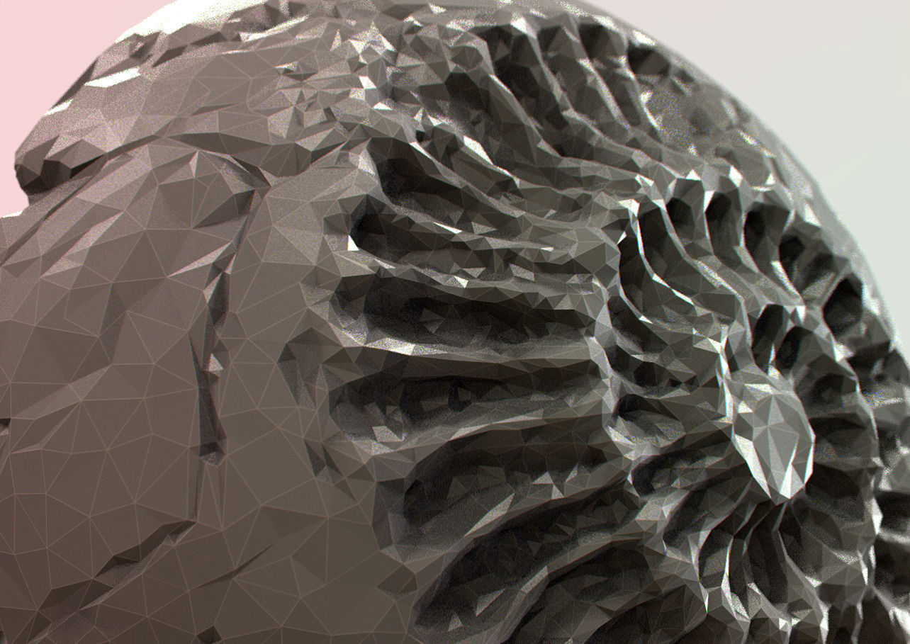 Fossil Series - Spiral 3D print model_2