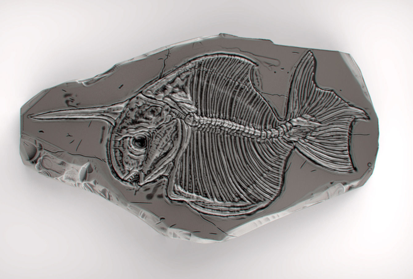 Fossil Series - Pisces monoceros 3D print model_1