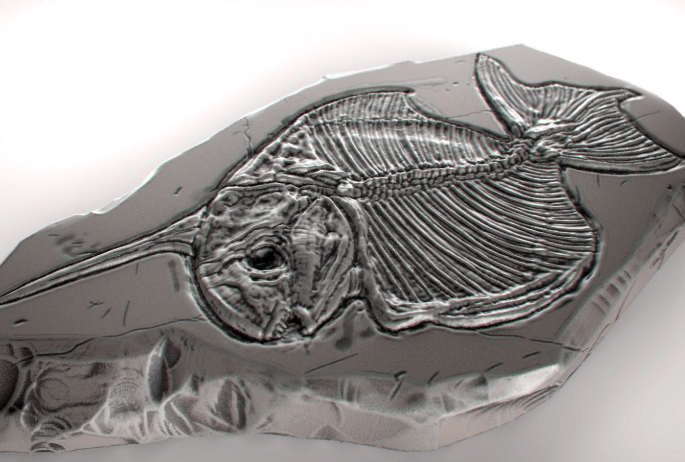 Fossil Series - Pisces monoceros 3D print model_2
