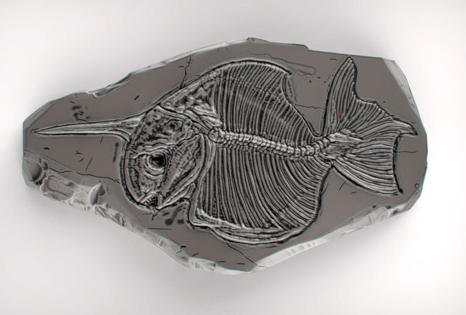 Fossil Series - Pisces monoceros 3D Model 3D printable .stl - CGTrader.com