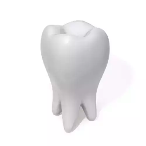 Tooth Low-poly 3D model