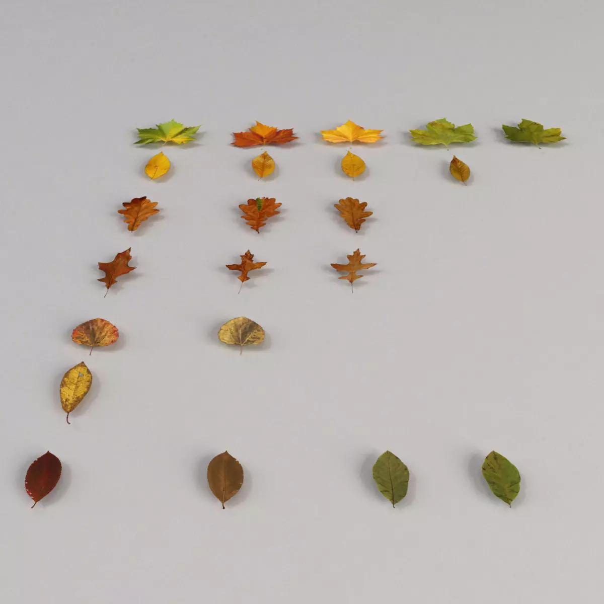 Dead Autumn Leaves 3D model_0