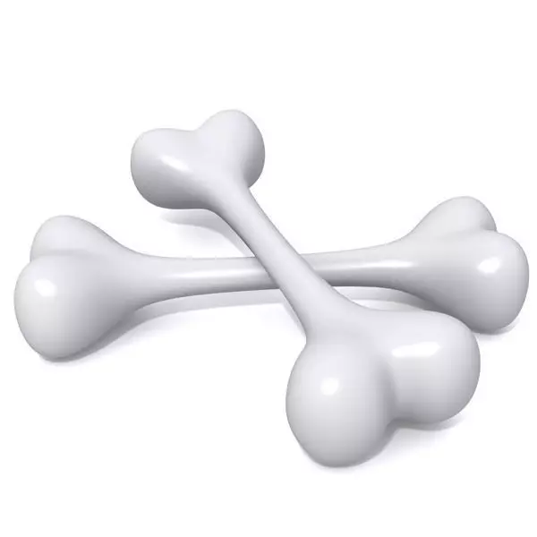 Bones two bone Low-poly 3D model_0