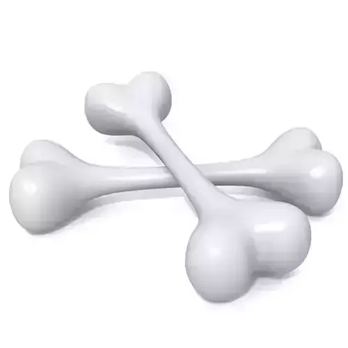 Bones two bone Low-poly 3D model