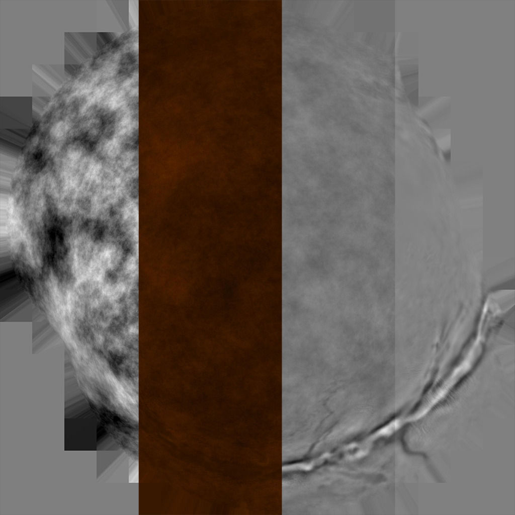 Coffee Beans 3D model_6