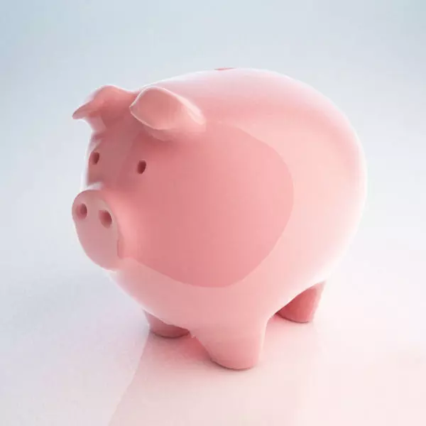 Piggy Bank  3D model_0