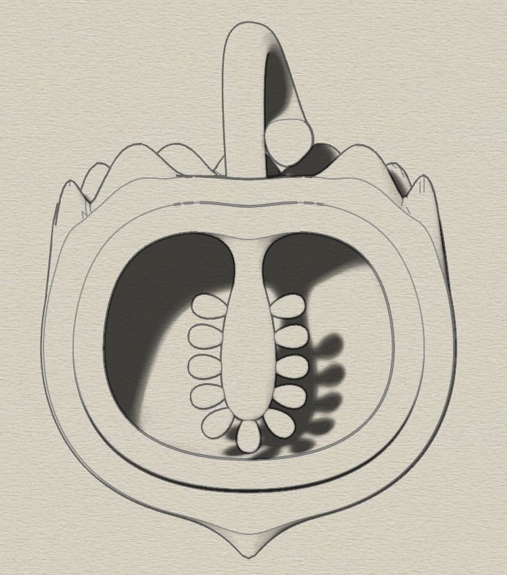 Fruit pendant 3D print model_4