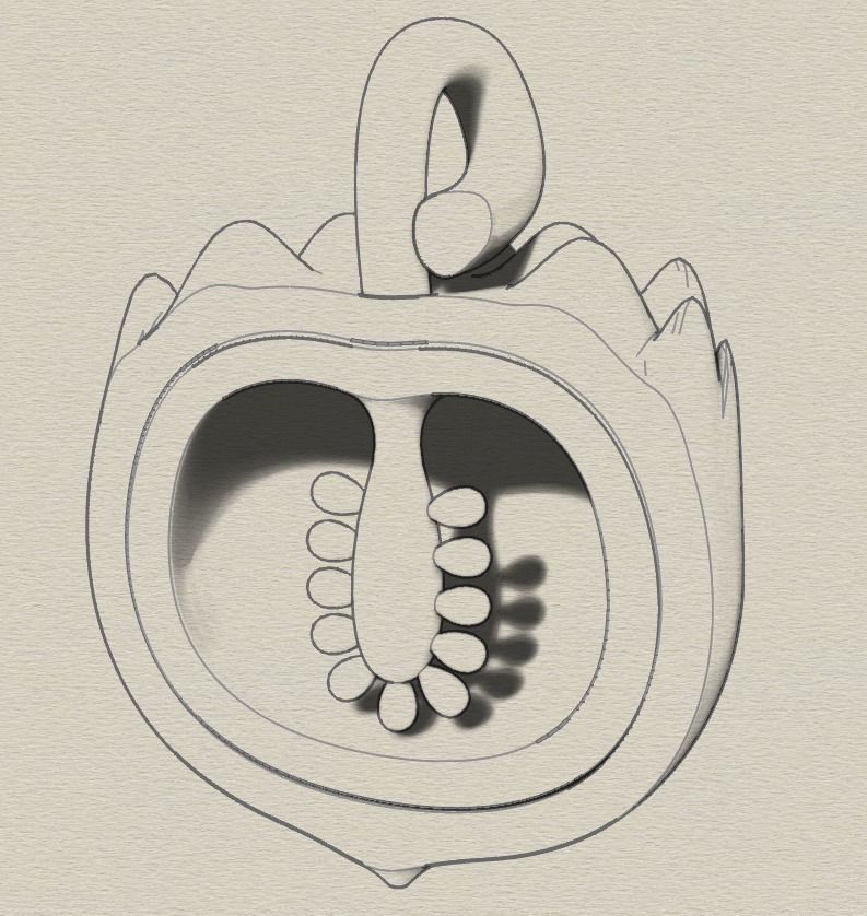 Fruit pendant 3D print model_6