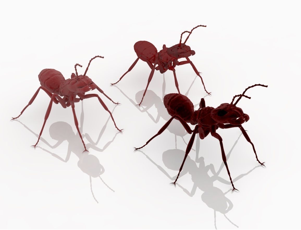Detailed ant 3D print model_3