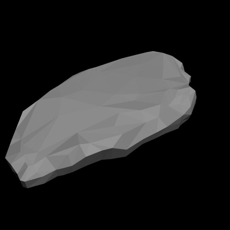 Raw Beef Steak Low-poly 3D model_4