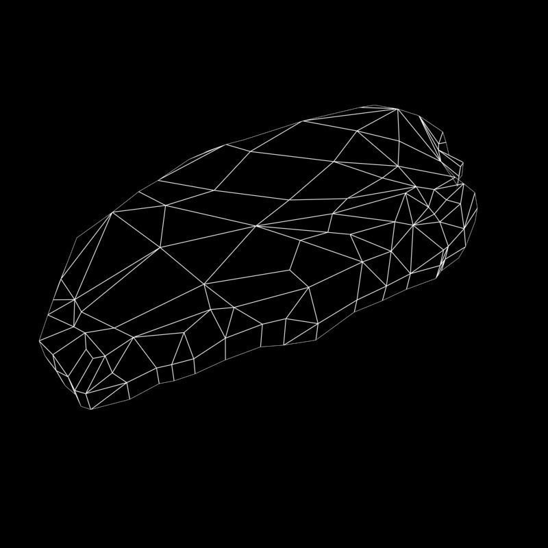 Raw Beef Steak Low-poly 3D model_3