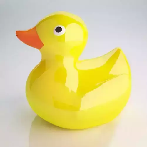 Rubber Duck