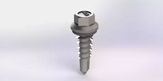 Automotive Screw
