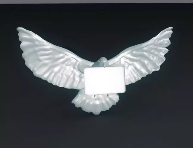 Carrier Pigeon 3D print model_0